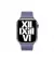 Кожаный ремешок для Apple Watch 38/40/41 mm Apple Modern Buckle Wisteria - Small (ML793)
