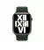 Кожаный ремешок для Apple Watch 38/40/41mm Apple Leather Link Sequoia Green - M/L (ML7Q3)