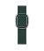 Кожаный ремешок для Apple Watch 38/40/41mm Apple Modern Buckle Forest Green - Large (MTQK2)