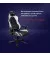 Кресло для геймеров Trust Gaming GXT 714 Ruya White (25065)