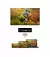 Медіаплеєр Thomson Streaming Stick 4K UHD 140G