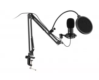 Микрофон 2Е MPC021 (2E-MPC021)
