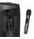 Микрофон JBL Partybox Wireless Microphone (JBLWIRELESSMIC)