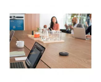 Мікрофон Logitech Rally Mic Pod Black (989-000430)