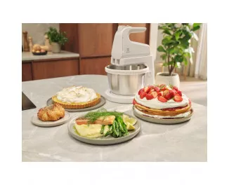 Міксер Electrolux ESM4W (910003748)