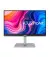 Монитор ASUS ProArt PA247CV (90LM03Y1-B02370)
