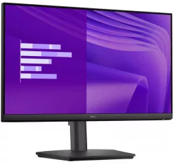Монитор Dell E2425HSM (210-BRDV)