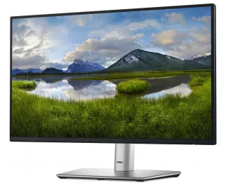 Монитор Dell P2225H (210-BMHD)