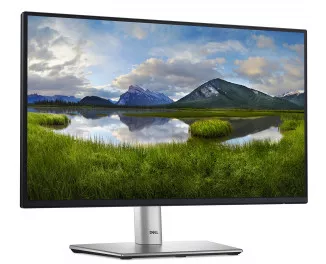 Монитор Dell P2225H (210-BMHD)