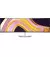 Монітор Dell UltraSharp U4924DW (210-BGTX)