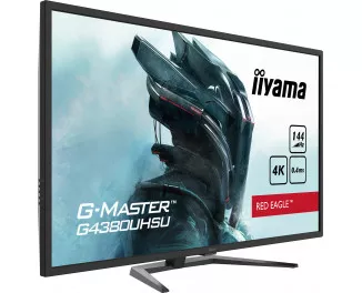 Монитор iiyama G-Master G4380UHSU-B1