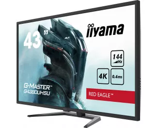 Монитор iiyama G-Master G4380UHSU-B1