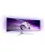 Монітор PHILIPS 49M2C8900/00