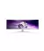 Монітор PHILIPS 49M2C8900L/00