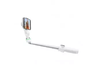 Монопод-стабилизатор Insta360 Flow 2 Pro Creator Bundle White (CINSABQ/B)