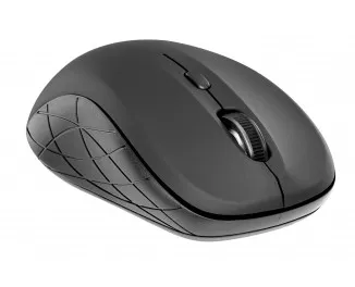 Мышь беспроводная 2E MF216 WL Black (2E-MF216WB)