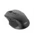 Мышь беспроводная 2E MF240 Silent WL Black (2E-MF240WB)