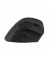 Мышь беспроводная 2E MF325 Silent WL/BT Black (2E-MF325WBK)