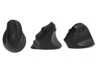 Мышь беспроводная 2E MF325 Silent WL/BT Black (2E-MF325WBK)