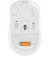 Мышь беспроводная A4Tech FB10C Bluetooth Grayish White