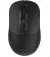 Мышь беспроводная A4Tech FB10CS Wireless/Bluetooth Stone Black