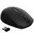 Мышь беспроводная Acer OMR060 WL Black (ZL.MCEEE.02E)