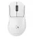 Мышь беспроводная Logitech Pro X Superlight 2 Dex White (910-007363, 910-007366)