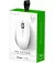 Мышь беспроводная Razer Pro Click mini (RZ01-03990100-R3G1)