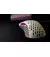 Миша Xtrfy M4 RGB Retro (XG-M4-RGB-RETRO)