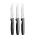 Набор из 3 столовых зубчатых ножей Fiskars Functional Form Table Knife Set (1057562)