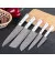 Набор из 5 кухонных ножей Samura Harakiri (SHR-0250W)