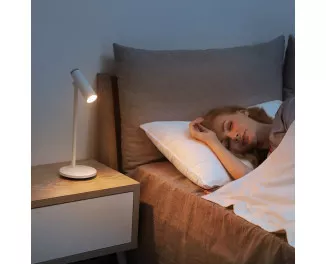Настольная лампа Baseus I-Wok Series Charging Office Reading Desk Lamp (Spotlight Version) (DGIWK-A02)