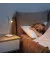 Настольная лампа Baseus I-Wok Series Charging Office Reading Desk Lamp (Spotlight Version) (DGIWK-A02)