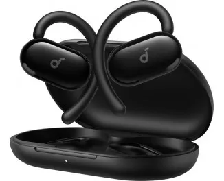 Наушники беспроводные Anker SoundCore V20i Black (A3876G11)