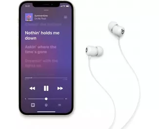 Навушники бездротові Beats by Dr. Dre Beats Flex All-Day Wireless Earphones Smoke Gray (MYME2)