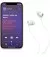 Навушники бездротові Beats by Dr. Dre Beats Flex All-Day Wireless Earphones Smoke Gray (MYME2)