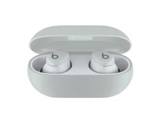 Навушники бездротові Beats by Dr. Dre Solo Buds Storm Gray (MUVY3)