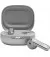 Наушники беспроводные JBL Live Flex Silver (JBLLIVEFLEXSVR)