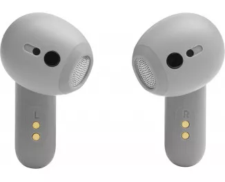 Наушники беспроводные JBL Live Flex Silver (JBLLIVEFLEXSVR)