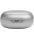 Наушники беспроводные JBL Live Flex Silver (JBLLIVEFLEXSVR)