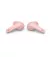 Наушники беспроводные JBL Live Pro+ TWS Pink (JBLLIVEPROPTWSPIK)