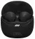 Наушники беспроводные JBL Tune Flex 2 Black (JBLTFLEX2BLK)