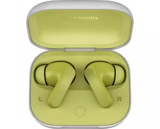 Наушники беспроводные Motorola TWS Moto Buds 2024 Kiwi Green (PG38C05790)