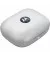 Наушники беспроводные Motorola TWS Moto Buds 2024 Starlight Blue (PG38C05748)