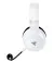 Наушники беспроводные Razer Kaira for Xbox White (RZ04-03480200-R3M1)