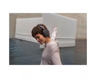 Наушники беспроводные Sennheiser HD 458 BT Black (508968)