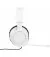 Наушники JBL Quantum 100P for PS White (JBLQ100PWHTBLU)