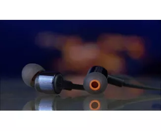 Навушники JBL T210 Black (JBLT210BLK)