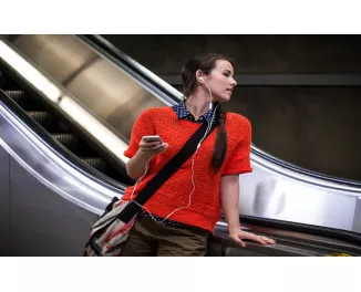 Наушники JBL T210 Gray (JBLT210GRY)