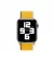 Нейлоновый ремешок для Apple Watch 38/40/41 mm Apple Sport Loop Sunflower (MJFT3)